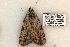  ( - 627-8878-210506-FL)  @13 [ ] Copyright (2008) Unspecified Research Collection of Robert J. Borth