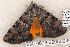  ( - 630-8878-220506-FL)  @13 [ ] Copyright (2008) Unspecified Research Collection of Robert J. Borth