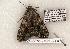  ( - 639-8878-270503-TX)  @13 [ ] Copyright (2008) Unspecified Research Collection of Robert J. Borth