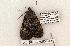  ( - 640-8878-270504-TX)  @13 [ ] Copyright (2008) Unspecified Research Collection of Robert J. Borth