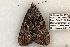  ( - 643-8878-270504-TX)  @13 [ ] Copyright (2008) Unspecified Research Collection of Robert J. Borth