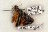  ( - 644-8878-310503-TX)  @13 [ ] Copyright (2008) Unspecified Research Collection of Robert J. Borth