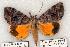  ( - 645-8879-280598-FL)  @14 [ ] Copyright (2008) Unspecified Research Collection of Robert J. Borth