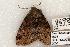  ( - 655-8698-150599-WI)  @13 [ ] Copyright (2008) Unspecified Research Collection of Robert J. Borth