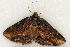  ( - 656-8697-090802-KY)  @13 [ ] Copyright (2008) Unspecified Research Collection of Robert J. Borth