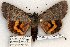  ( - 455-8779-100802-KY)  @14 [ ] Copyright (2008) Unspecified Research Collection of Robert J. Borth