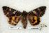  ( - 661-0000-000000-CH)  @14 [ ] Copyright (2008) Unspecified Research Collection of Robert J. Borth