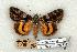  ( - 667-0000-011102-EU)  @14 [ ] Copyright (2008) Unspecified Research Collection of Robert J. Borth