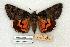  ( - 668-0000-000000-JA)  @14 [ ] Copyright (2008) Unspecified Research Collection of Robert J. Borth