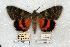  ( - 673-0000-300778-EU)  @14 [ ] Copyright (2008) Unspecified Research Collection of Robert J. Borth