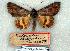  ( - 674-0000-000000-EU)  @13 [ ] Copyright (2008) Unspecified Research Collection of Robert J. Borth