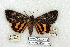  ( - 675-0000-000792-CH)  @13 [ ] Copyright (2008) Unspecified Research Collection of Robert J. Borth