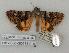  ( - 681-0000-080768-EU)  @13 [ ] Copyright (2008) Unspecified Research Collection of Robert J. Borth