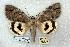  ( - 682-0000-150976-JA)  @14 [ ] Copyright (2008) Unspecified Research Collection of Robert J. Borth