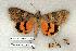  ( - 684-0000-000794-TU)  @13 [ ] Copyright (2008) Unspecified Research Collection of Robert J. Borth