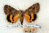  ( - 686-0000-000000-EU)  @15 [ ] Copyright (2008) Unspecified Research Collection of Robert J. Borth