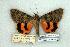 ( - 691-0000-080969-EU)  @13 [ ] Copyright (2008) Unspecified Research Collection of Robert J. Borth