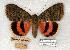  ( - 696-0000-000708-EU)  @14 [ ] Copyright (2008) Unspecified Research Collection of Robert J. Borth