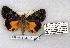  ( - 699-8878-120781-NJ)  @14 [ ] Copyright (2008) Unspecified Research Collection of Robert J. Borth