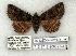  ( - 715-8712-200395-AZ)  @12 [ ] Copyright (2008) Unspecified Research Collection of Robert J. Borth