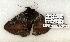  ( - 719-8718-290405-FL)  @13 [ ] Copyright (2008) Unspecified Research Collection of Robert J. Borth