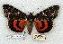  ( - 740-8816-280867-CA)  @14 [ ] Copyright (2008) Unspecified Research Collection of Robert J. Borth