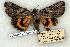  ( - 743-8867-250676-NC)  @13 [ ] Copyright (2008) Unspecified Research Collection of Robert J. Borth