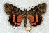  ( - 746-8831-240749-MX)  @14 [ ] Copyright (2008) Unspecified Research Collection of Robert J. Borth