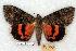  ( - 747-8831-210649-MX)  @14 [ ] Unspecified (default): All Rights Reserved  Unspecified Unspecified