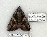  ( - 750-8852-160703-UT)  @14 [ ] Copyright (2008) Unspecified Research Collection of Robert J. Borth