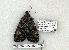  ( - 752-8878-270504-TX)  @14 [ ] Copyright (2008) Unspecified Research Collection of Robert J. Borth