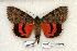  ( - 753-090603-TX)  @14 [ ] Copyright (2008) Unspecified Research Collection of Robert J. Borth
