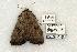  ( - 764-150602-MO)  @14 [ ] Copyright (2008) Unspecified Research Collection of Robert J. Borth