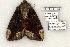  ( - 768-250503-OK)  @13 [ ] Copyright (2008) Unspecified Research Collection of Robert J. Borth