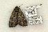  ( - 770-270504-TX)  @13 [ ] Copyright (2008) Unspecified Research Collection of Robert J. Borth