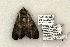 ( - 771-270504-TX)  @13 [ ] Copyright (2008) Unspecified Research Collection of Robert J. Borth