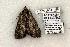  ( - 772-270504-TX)  @13 [ ] Copyright (2008) Unspecified Research Collection of Robert J. Borth