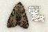  ( - 777-110702-KY)  @14 [ ] Copyright (2008) Unspecified Research Collection of Robert J. Borth