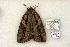  ( - 781-120702-KY)  @13 [ ] Copyright (2008) Unspecified Research Collection of Robert J. Borth