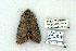  ( - 784-020702-TN)  @14 [ ] Copyright (2008) Unspecified Research Collection of Robert J. Borth