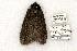  ( - 785-130802-IN)  @14 [ ] Copyright (2008) Unspecified Research Collection of Robert J. Borth