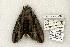  ( - 787-100802-KY)  @13 [ ] Copyright (2008) Unspecified Research Collection of Robert J. Borth