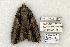  ( - 788-020702-TN)  @13 [ ] Copyright (2008) Unspecified Research Collection of Robert J. Borth