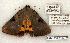 ( - 792-130802-IN)  @14 [ ] Copyright (2008) Unspecified Research Collection of Robert J. Borth