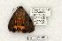  ( - 793-110802-IN)  @13 [ ] Copyright (2008) Unspecified Research Collection of Robert J. Borth