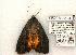  ( - 796-050602-OK)  @14 [ ] Copyright (2008) Unspecified Research Collection of Robert J. Borth