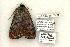 ( - 797-010604-TX)  @14 [ ] Copyright (2008) Unspecified Research Collection of Robert J. Borth