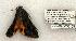  ( - 799-090602-OK)  @12 [ ] Copyright (2008) Unspecified Research Collection of Robert J. Borth