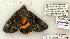  ( - 804-110602-OK)  @13 [ ] Copyright (2008) Unspecified Research Collection of Robert J. Borth