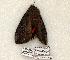  ( - 809-210504-TX)  @13 [ ] Copyright (2008) Unspecified Research Collection of Robert J. Borth